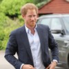 Prince Harry Attends Reception For Normandy Veterans