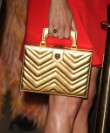 Chloe Sevigny's Purse