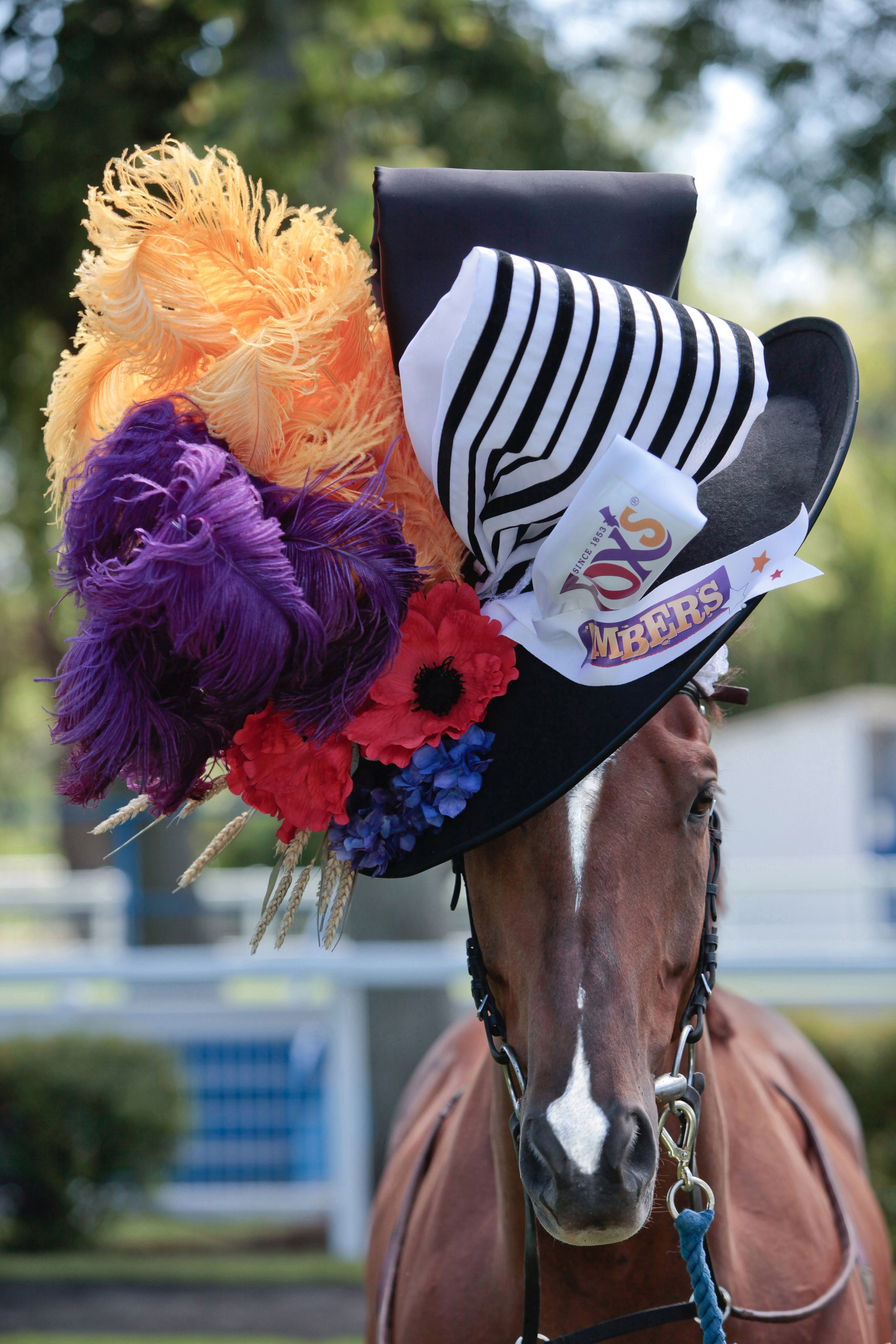 Royal Ascot