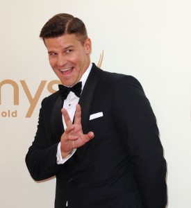 Emmy Awards WTF Hair: David Boreanez