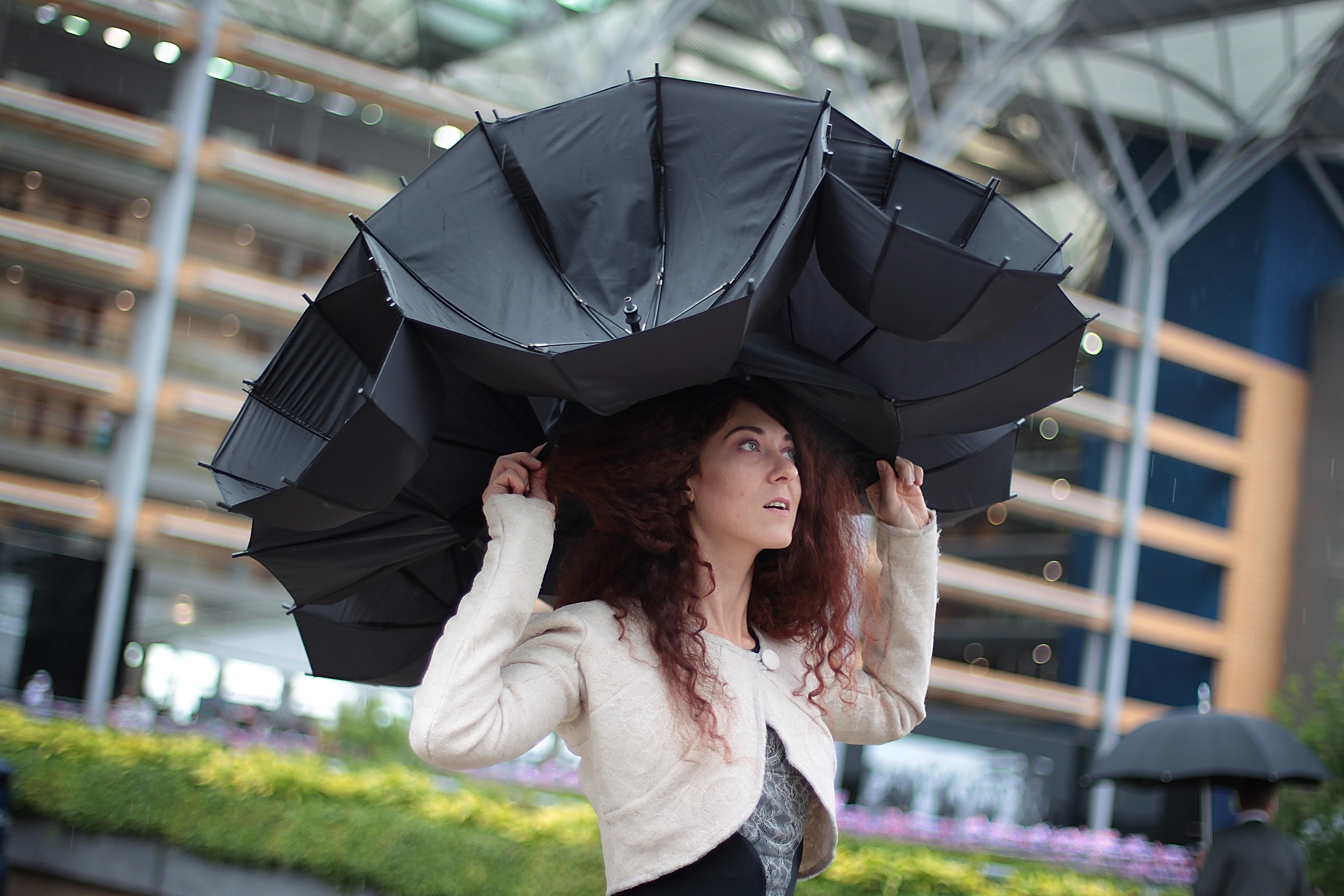 Странные зонты