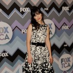 Fugs, Fabs, and Fines of the FOX TCA Party