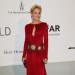 amfAR Fug Carpet at Cannes: Sharon Stone in Roberto Cavalli