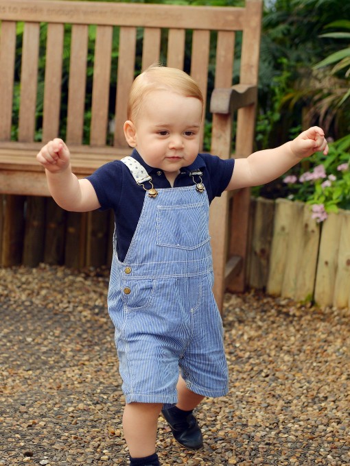 Royally Well-Played: Prince George’s Official First Birthday Photo