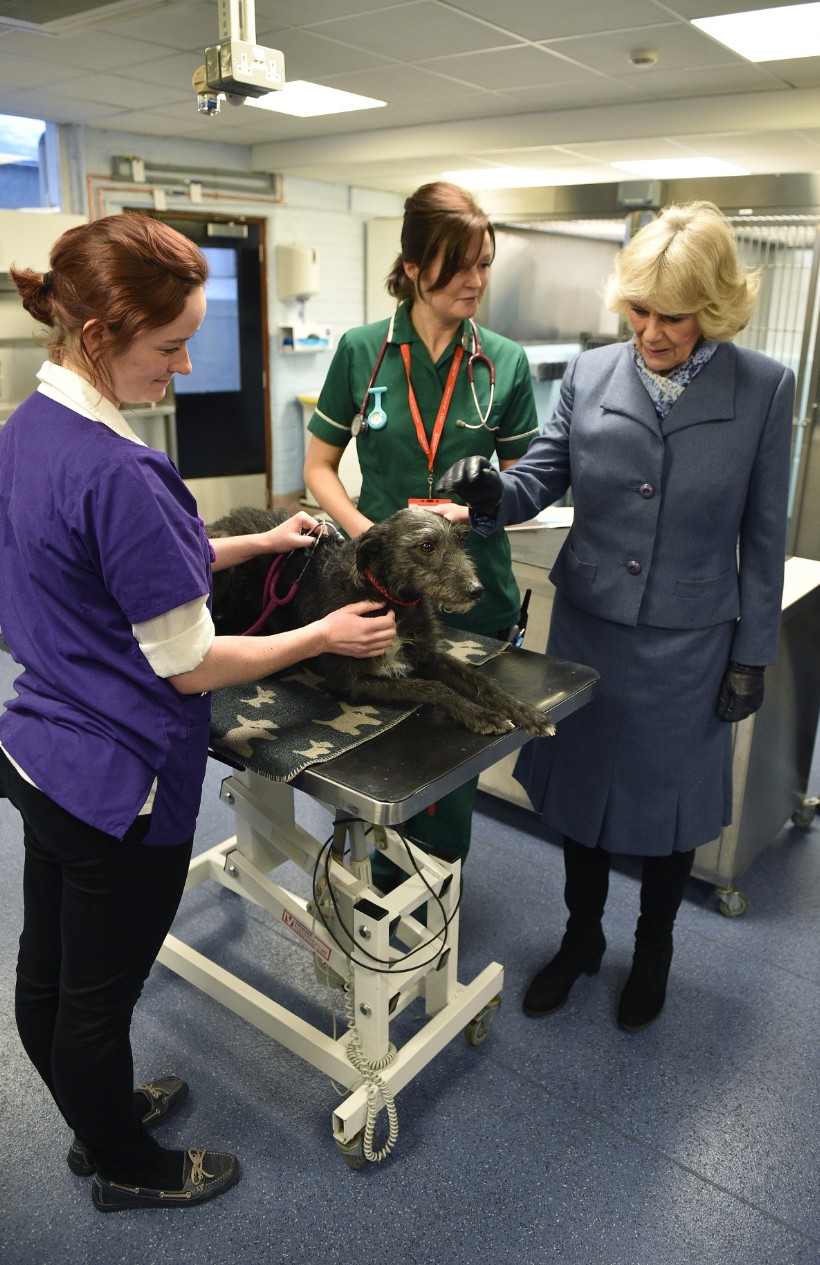 The Duchess Of Cornwall Visits The Beaumont Sainsbury Animal