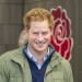 Your Afternoon Man: Prince Harry