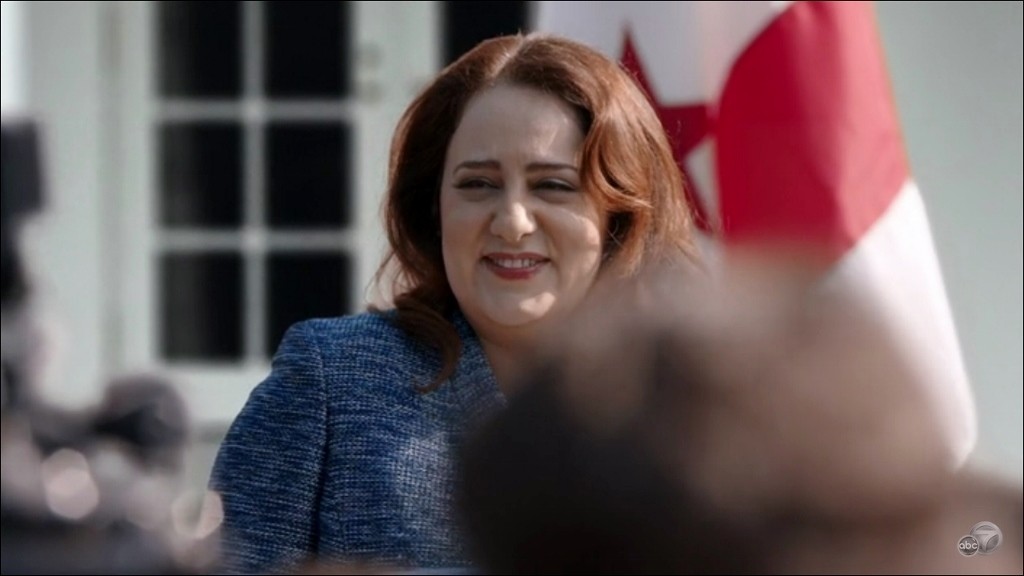 Fug the Show Scandal recap, season 4, episode 15, “The Testimony of