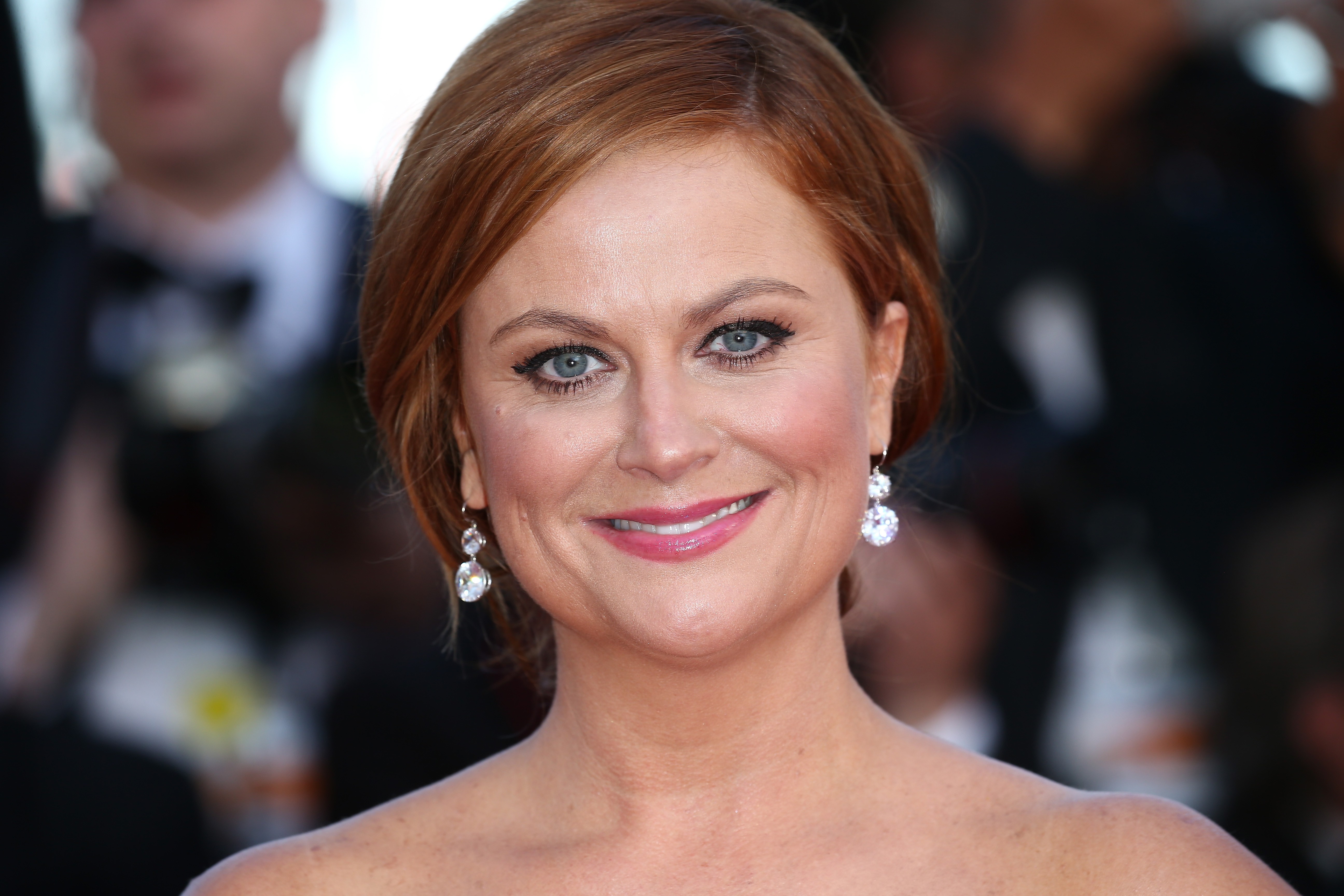 Amy Poehler Fake