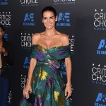 Critics Choice TV Awards Fugs and Fabs: Patterns