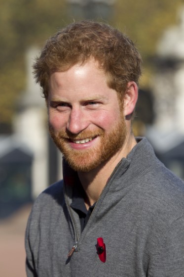prince-harry-royals-round-up