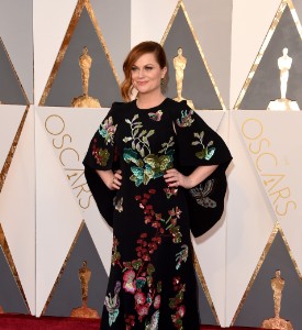 Oscars Well Played: Amy Poehler in Andrew Gn