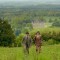 Fug the Show: Downton Abbey Recap, Episode 605