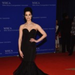 Fugs or Fines or Fabs: Jaimie Alexander&#8217;s White House Correspondents&#8217; Dinner Weekend