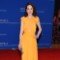 Nearly Well Played: Michelle Dockery in Cushnie et Ochs at the White House Correspondents’ Dinner