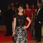 Fugs and Fabs: Patterns at the White House Correspondents&#8217; Dinner