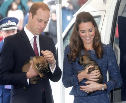 The Best of Wills and Kate's Royal Tours