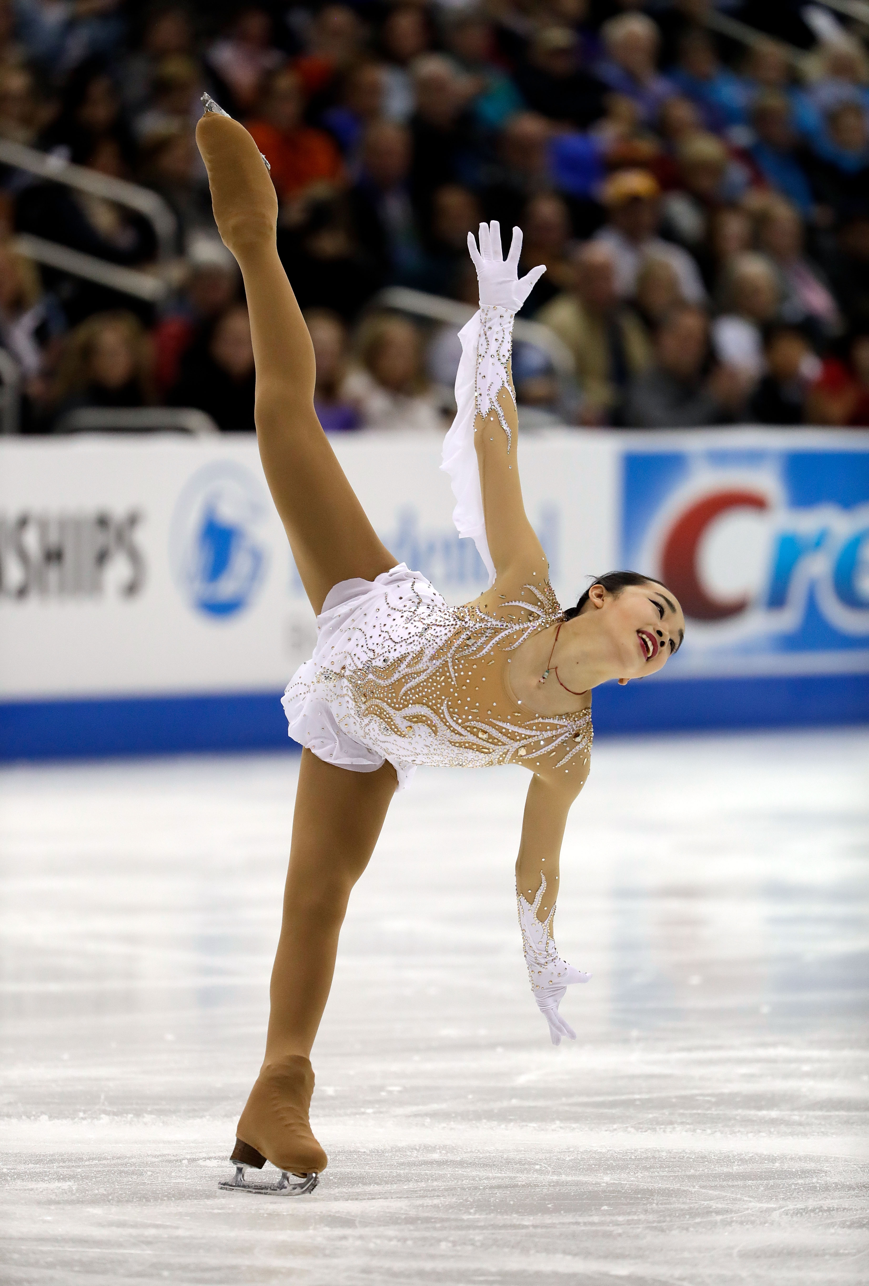 The Costumes of the 2017 US National Figure Skating Championships Go