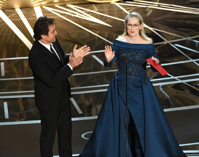 Meryl Streep Wears Elie Saab at the Oscars