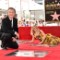 Goldie and Kurt Hit the Walk of Fame