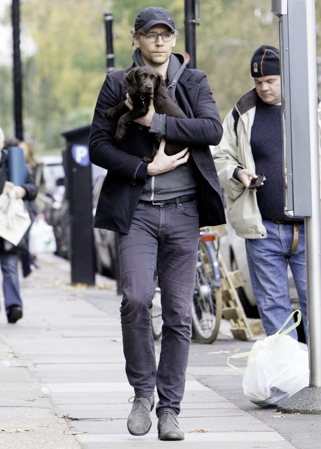 Tom Hiddleston Seen out With his New Dog