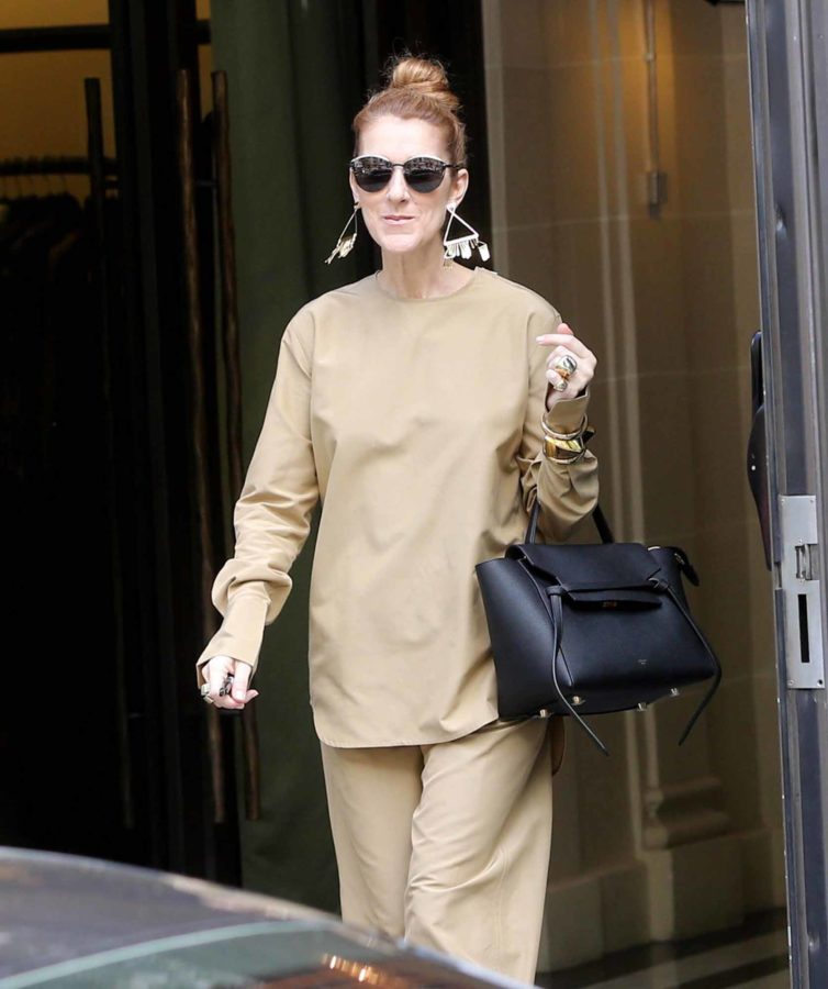 Céline Dion and Her Bags are Having More Fun in France Than Anyone