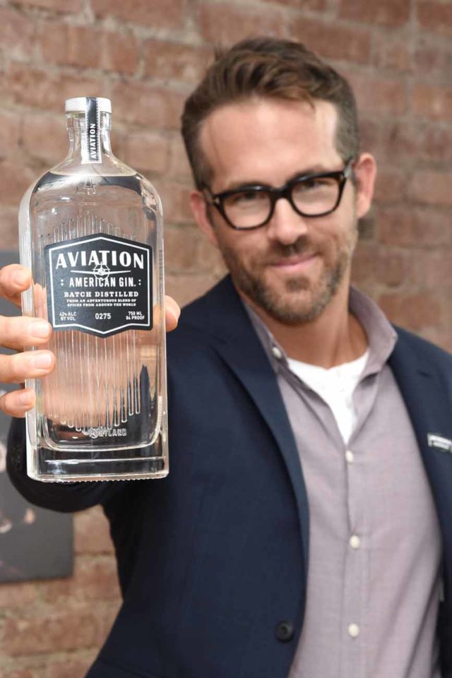 Image result for aviation gin