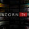 A Year-Long Subscription to AcornTV!