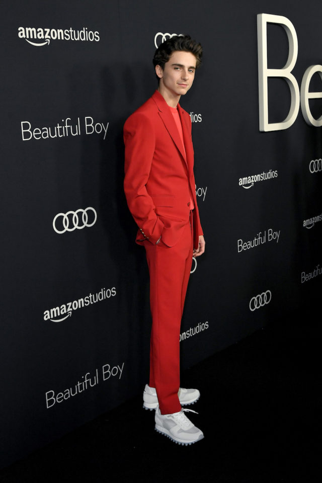 'Beautiful Boy' film premiere, Arrivals, Los Angeles, USA - 08 Oct 2018