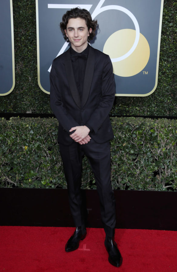 Jan 19 | Berluti Menswear Fall/Winter 2018-2019 - Paris Fashion Week - 047  - Charming Timothee Chalamet / Photo Archive