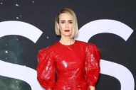 Sarah Paulson Comes Down To Earth in CK