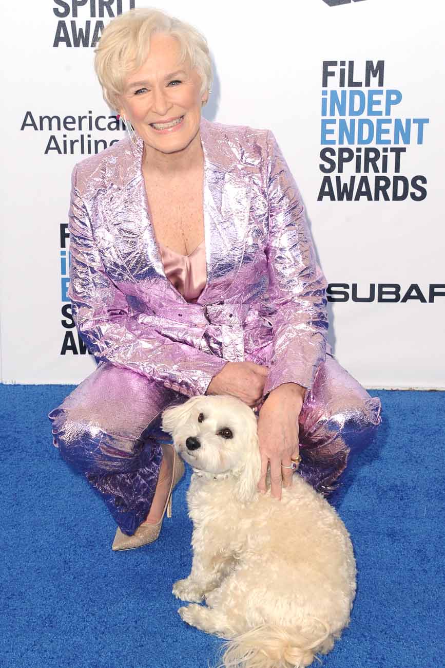 Let Glenn Close’s Adorable Dog Make You Feel Happier For Her - Go Fug ...