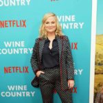 &#8216;Amy Poehler&#8217;s Wine Country&#8217; Is a Show I Would Watch Right This Second