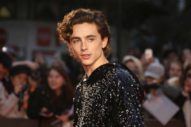 Timothee Chalamet Found a Sequined Hoodie