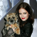 Let&#8217;s Revisit Eva Green&#8217;s Looks for the Press Tour for Casino Royale