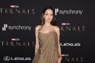 Once Again, Angelina Jolie Wore a Thing