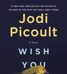 Jodi Picoult Wish You Were HEre-1637606241