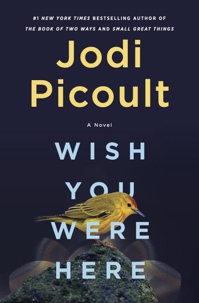 Jodi Picoult Wish You Were HEre-1637606241