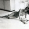 Happy Friday, Here’s Jackie Collins Typing in a Bikini on the Floor on This Very Day in 1964
