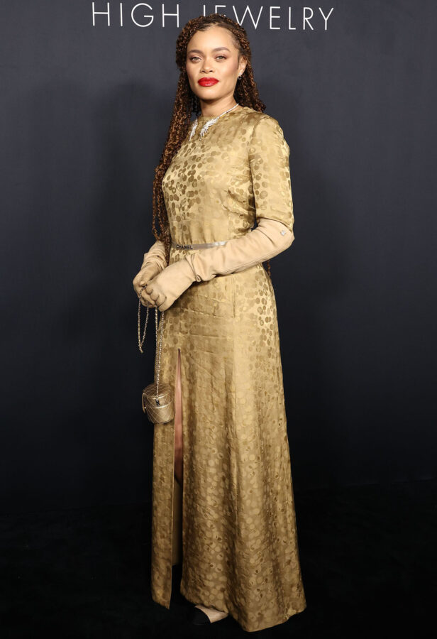andra day gold dress Andra Day Honors Billie Holiday at Oscars 2021 with Vera Wang Gown