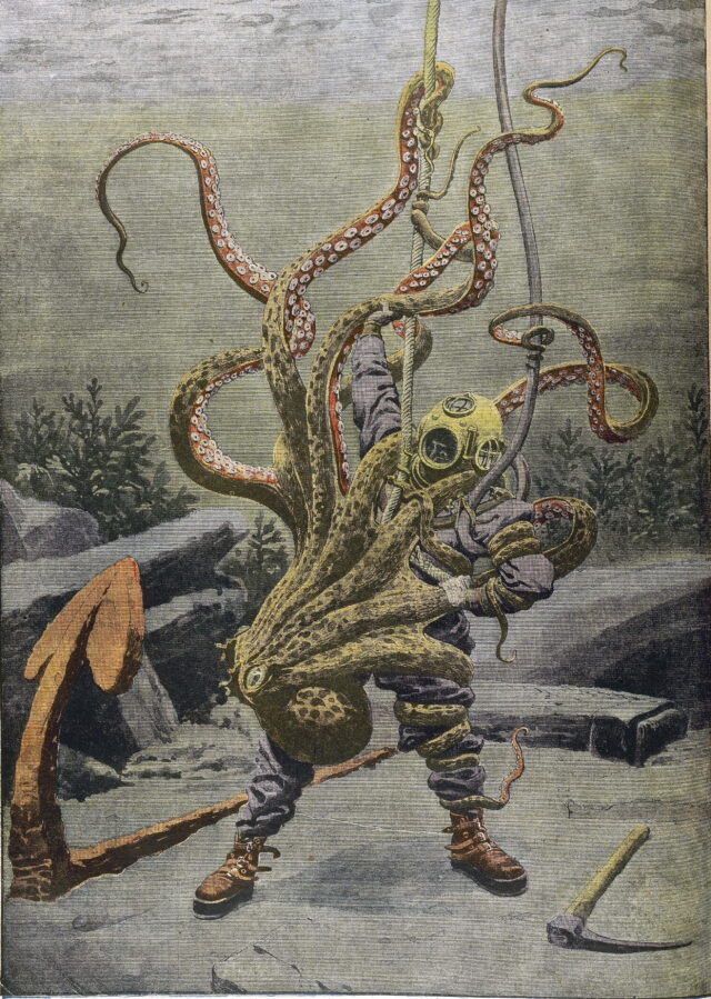 Diver attacked by a octopus, near Toulon. Le Petit