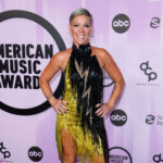 Pink&#8217;s Vintage Bob Mackie Was an AMAs High Point