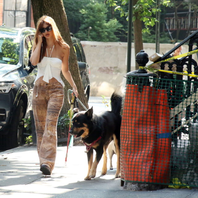 Emily Ratajkowski seen dog walking, New York, USA - 26 Jul 2023