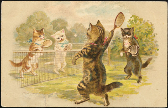 Postcard of Cats Playing Tennis