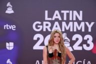 The Latin Grammys Delivered Many Sartorial High/Lowlights