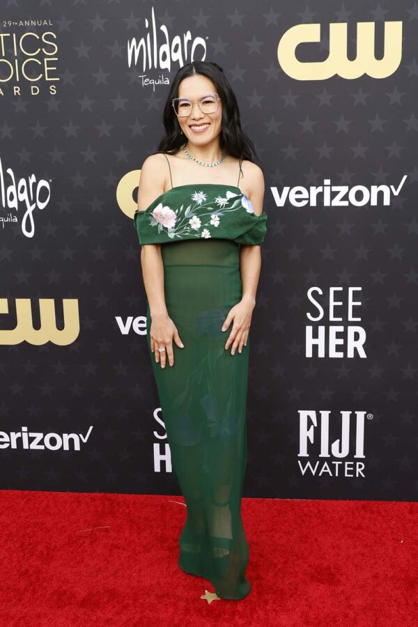 chelsea handler green dress Critics Choice Awards: Chelsea Handler Mocks Golden Globes Host Jo Koy