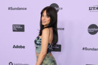 Camila Cabello Has Made Some Weird Denim Choices at Sundance