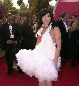 Actress and singer Bjork arrives the 73rd Annual A