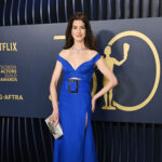 Anne Hathaway Chose Cerulean for the SAGs