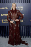 The Meryl Wore Prada at the SAGs