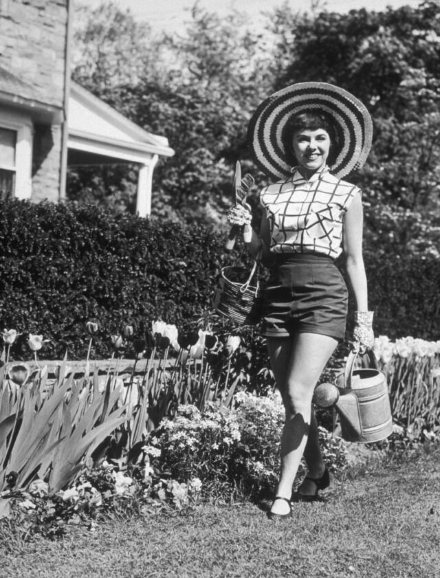 The Joy Of Gardening